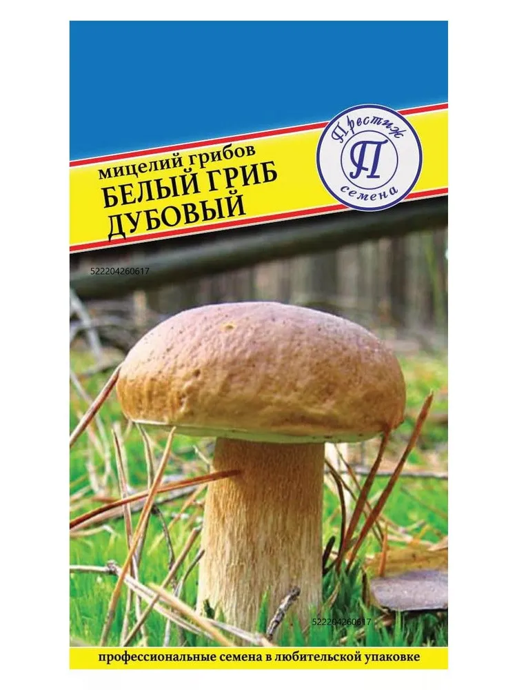 Мицелий грибов "БЕЛЫЙ ГРИБ ДУБОВЫЙ" семена, белый