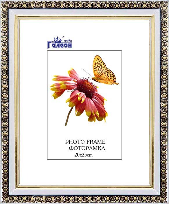 Фоторамка пластиковая 20 х 25 см, 1702C3-012А1, 1702C3-012A1