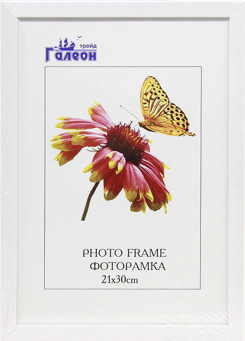 Фоторамка пластиковая 21 х 30 см, 1504A-012AL