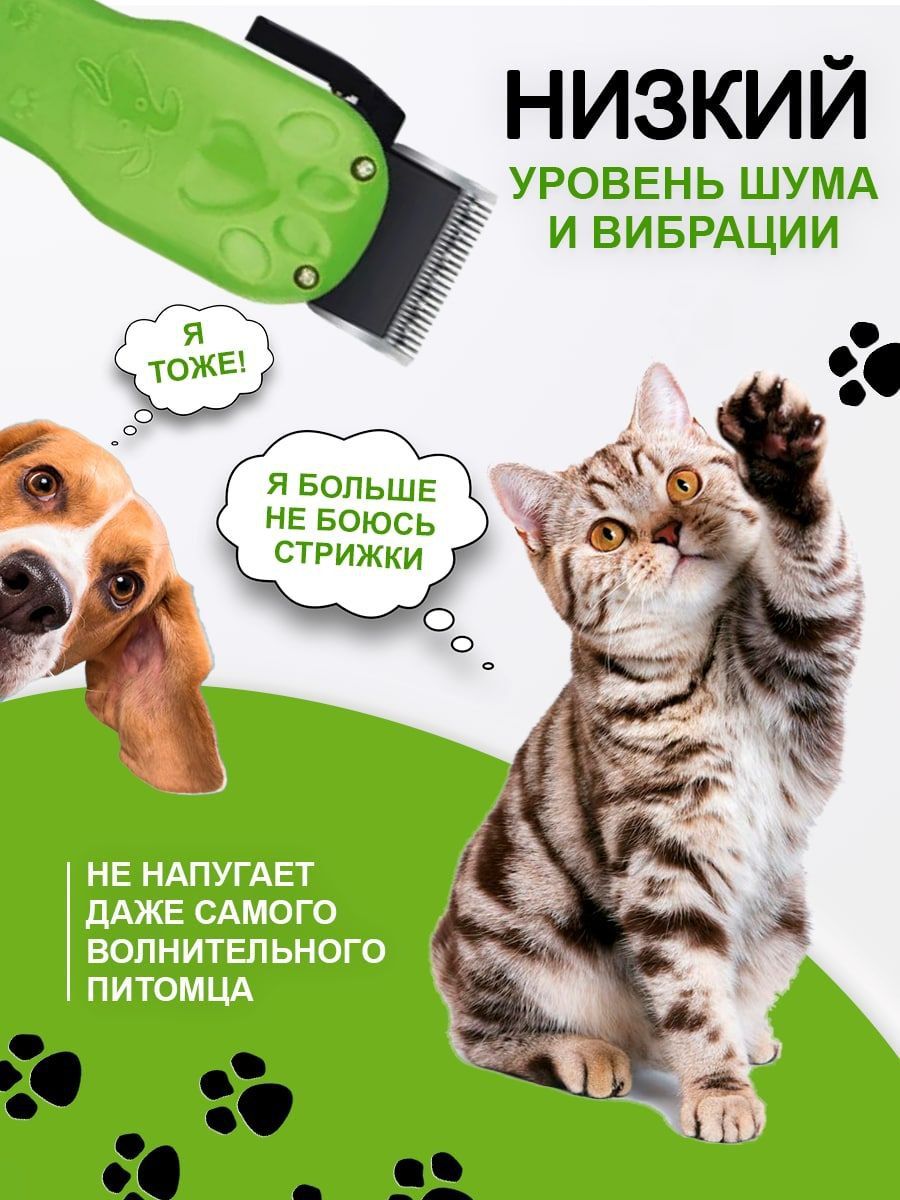 Текст при отключенной в браузере загрузке изображений