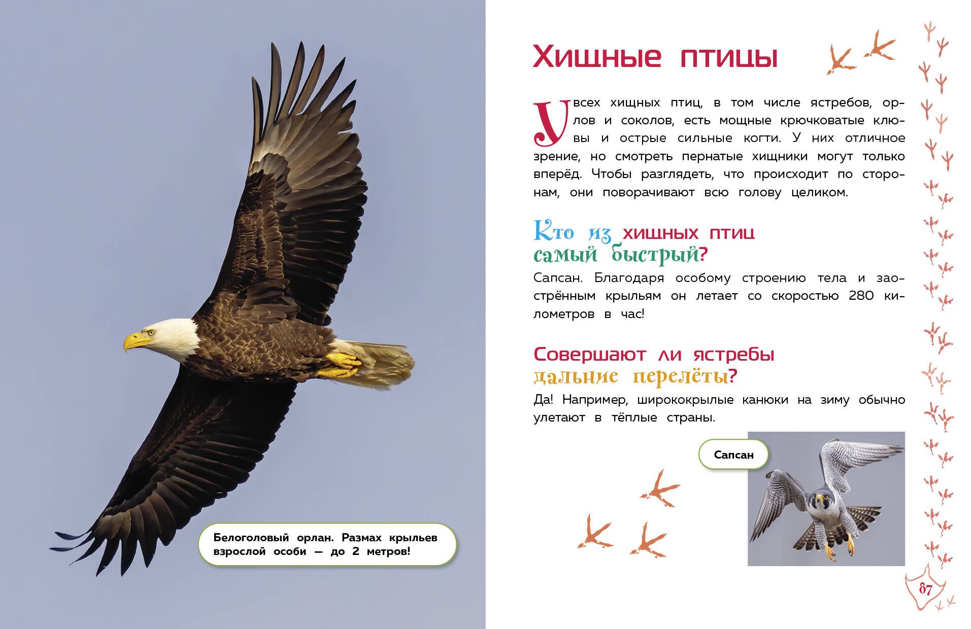 Животные. Большая детская энциклопедия | Reference Book - Ozon image 6