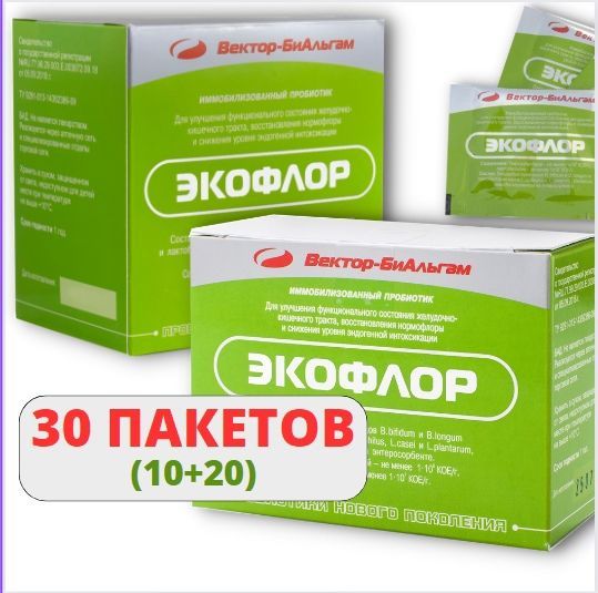 Санирующая штукатурка: эффективная борьба против бактерий, грибков и высолов