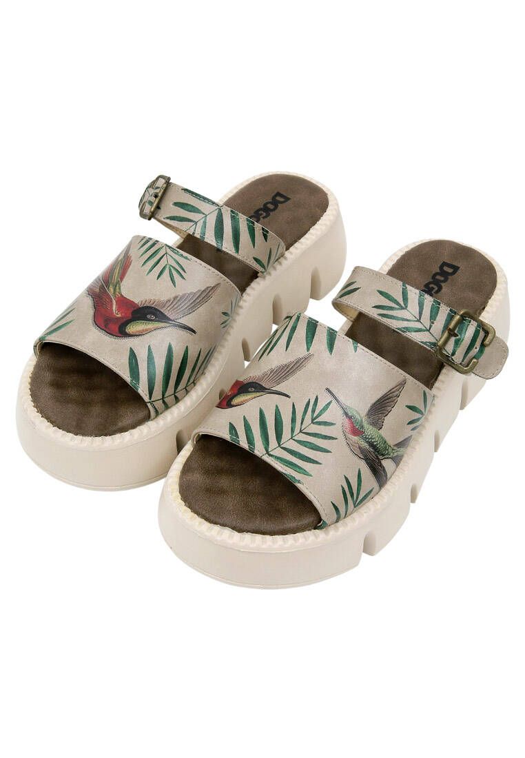 slipper soar - Ilustrasi 2