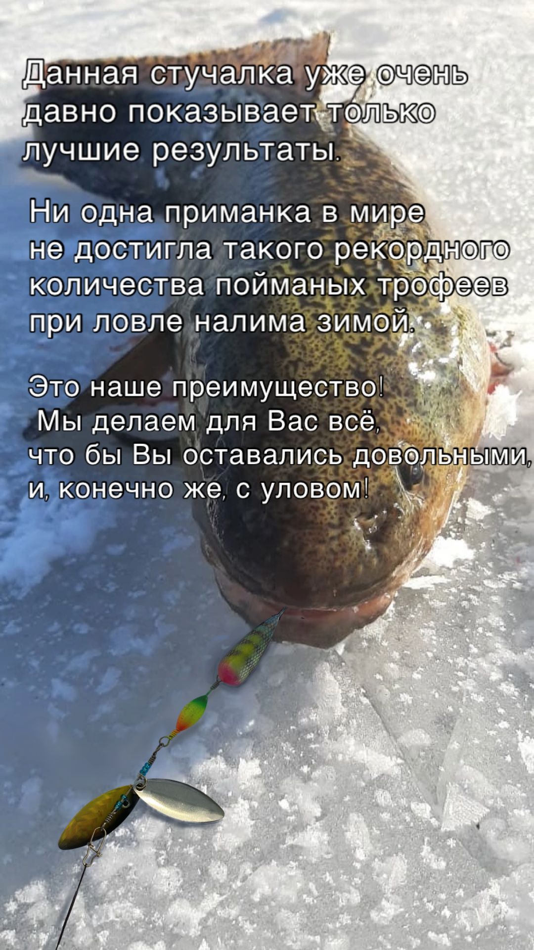 Способы и особенности ловли налима - Новосибисркий клуб охотников и рыбаков HunStory