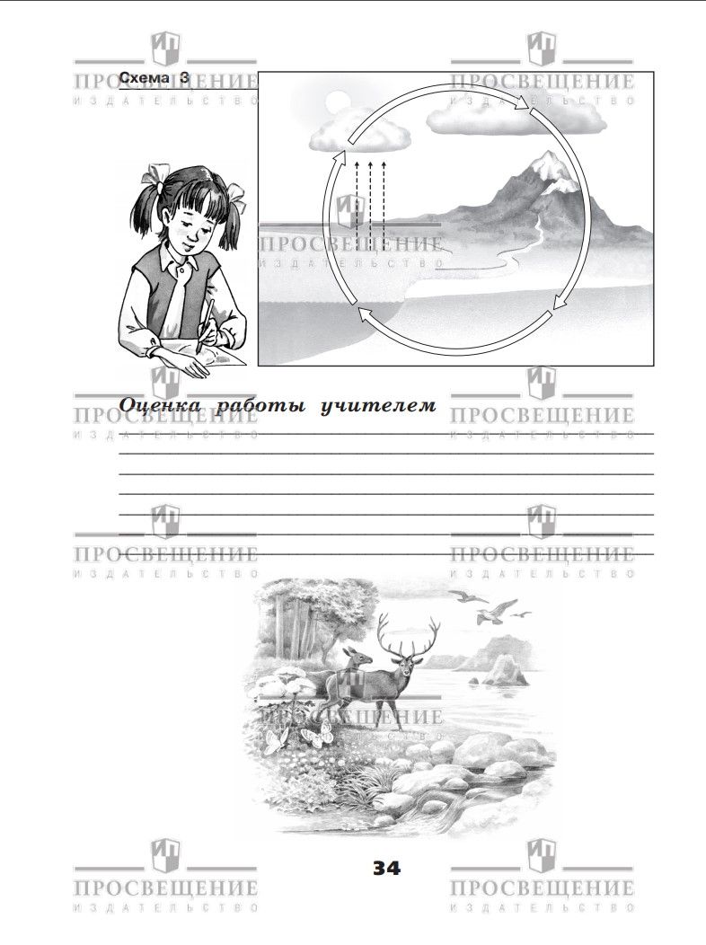 Окружающий мир. Проверочные работы. 3 класс. ФГОС | Reference Book - Ozon image 6