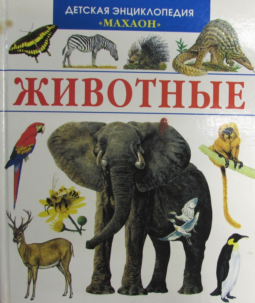 Животные #1