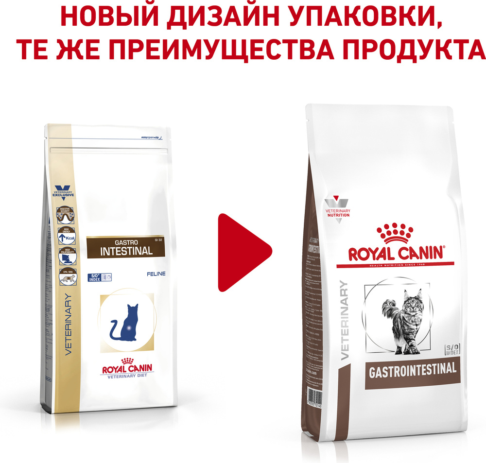 Intestinal gastro royal hot sale canin