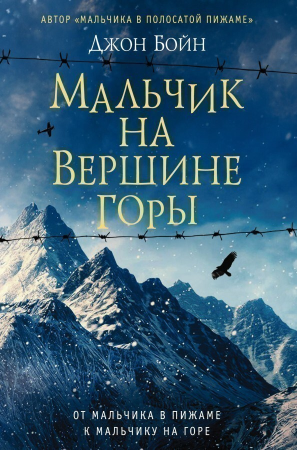 Мальчик на вершине горы #1