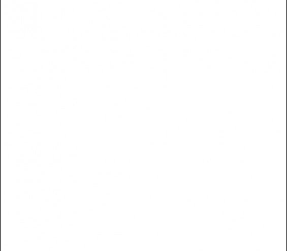 FST Фон для фото 60 см, белый - купить с доставкой по выгодным ценам в ...