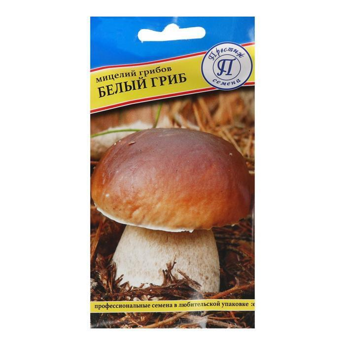 Мицелий грибов Белый гриб, 60 мл #1