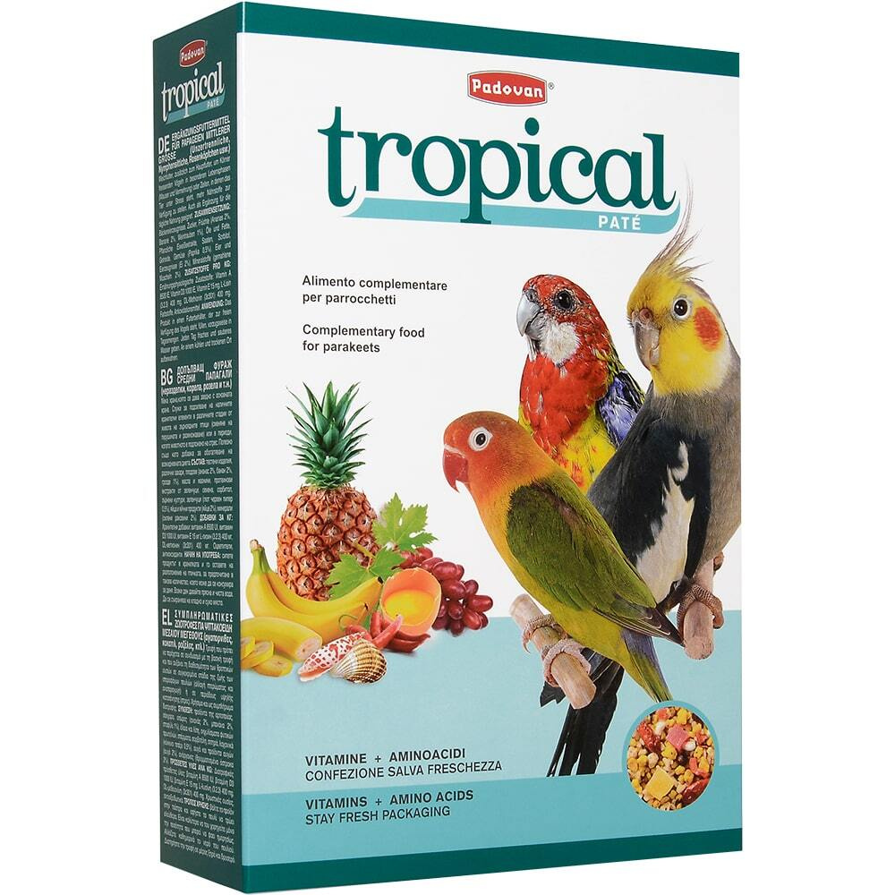 Корм для средних попугаев дополнительный PADOVAN TROPICAL patee (700г)  #1