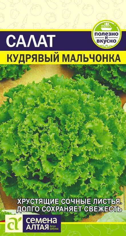 Семена Салат Кудрявый Мальчонка (0,5 г) - Семена Алтая #1