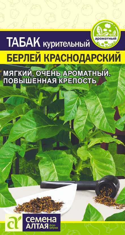 Семена Табак Берлей Краснодарский (0,01 гр) - Семена Алтая  #1