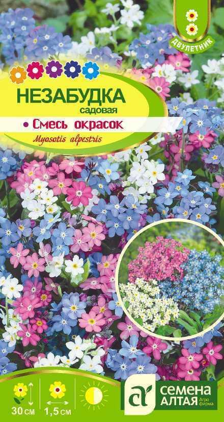 Цветы Незабудка Смесь Окрасок садовая/Сем Алт/цп 0,1 гр. двулетник  #1