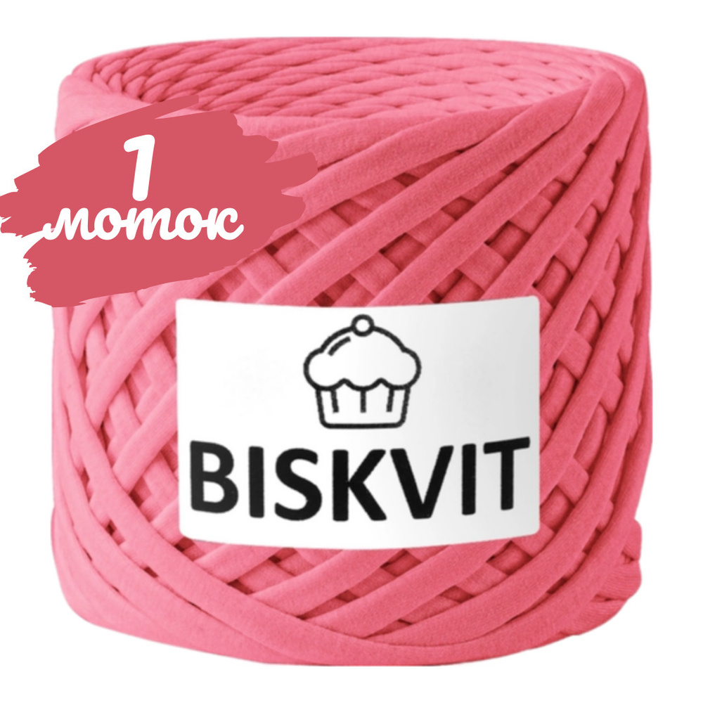 Трикотажная пряжа Biskvit  десерт, 100м., лицевая, (бисквит) #1