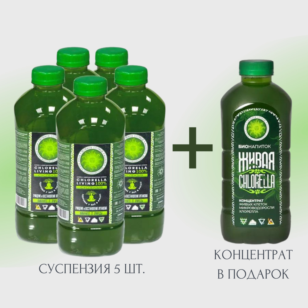 Напиток живая Хлорелла Chlorella 100% суспензия 5 л. + 1 л. концентрата ...