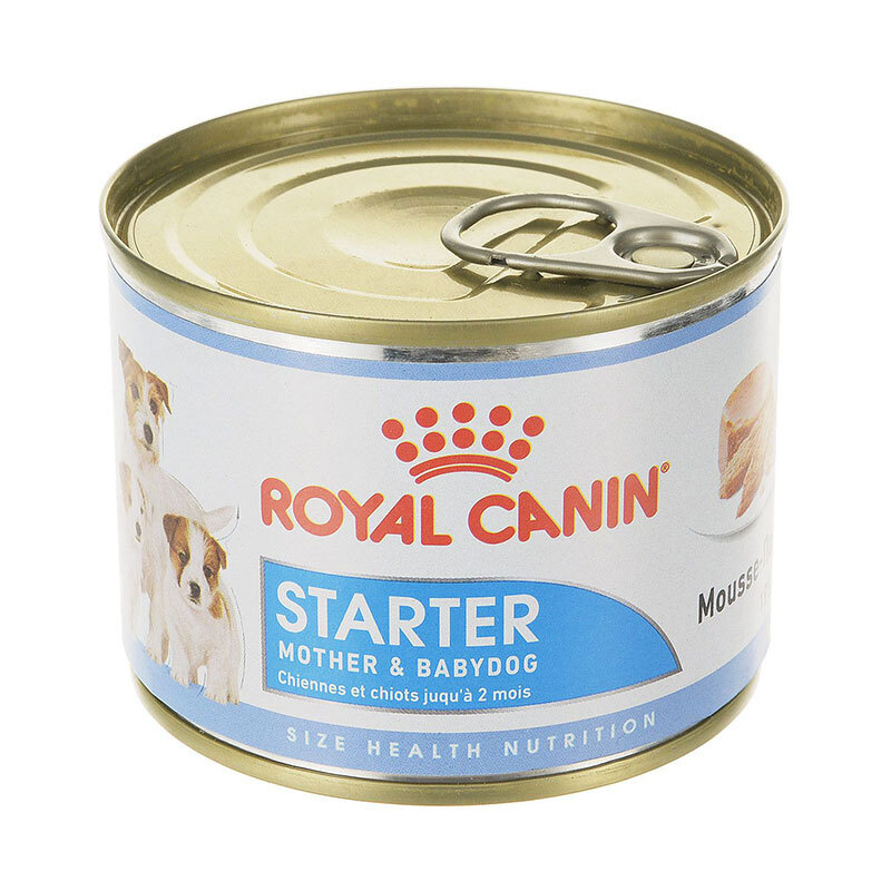 Royal Canin Starter Mousse Mother and Babydog - влажный полнорационный корм #1