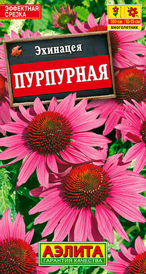 Семена Эхинацея Пурпурная (0,2г) - Аэлита - многолетние растения, пряные и лекарственные травы, для дачи, #1