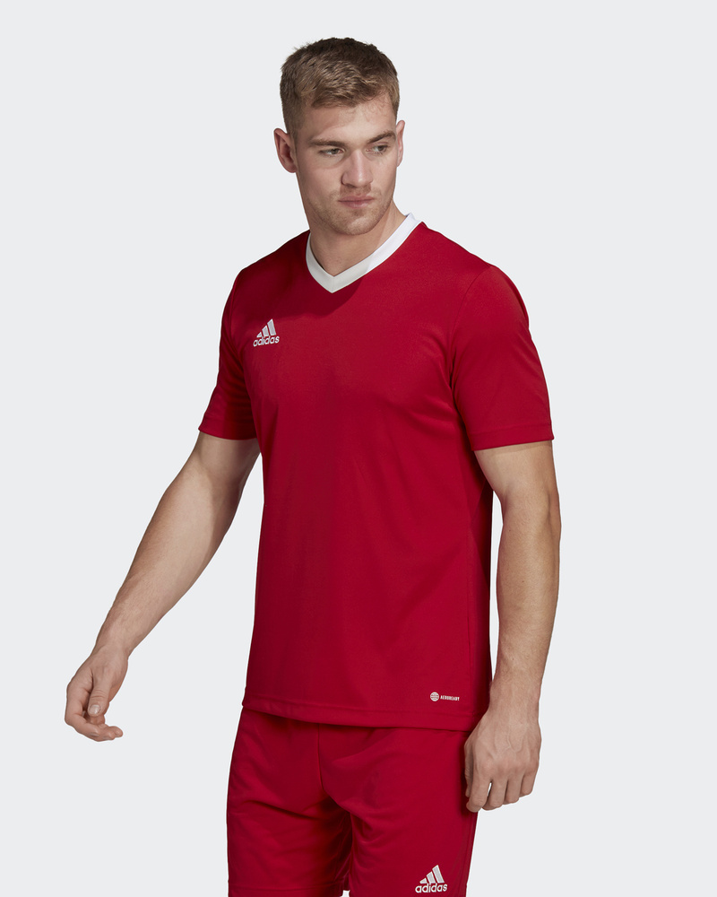 Adidas sale entrada jersey