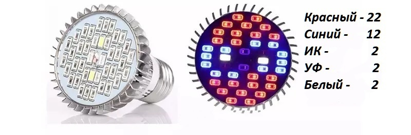 Лампа для растений. Полный спектр. Фитолампа 220V - 30 ватт. Цоколь Е27 ...