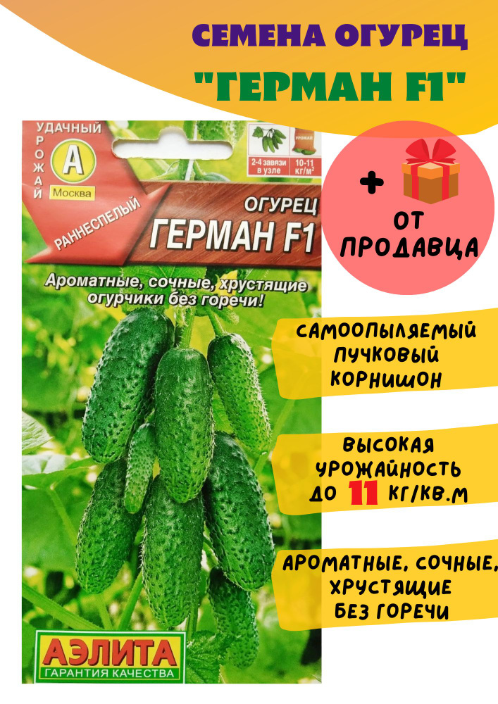 Огурец герман описание сорта фото отзывы