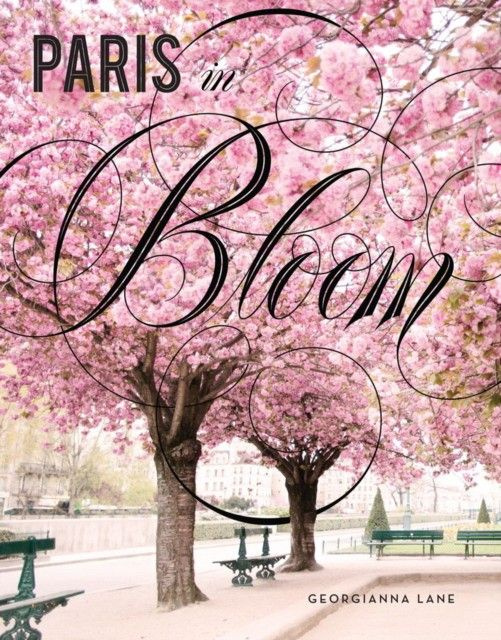 Paris in Bloom #1