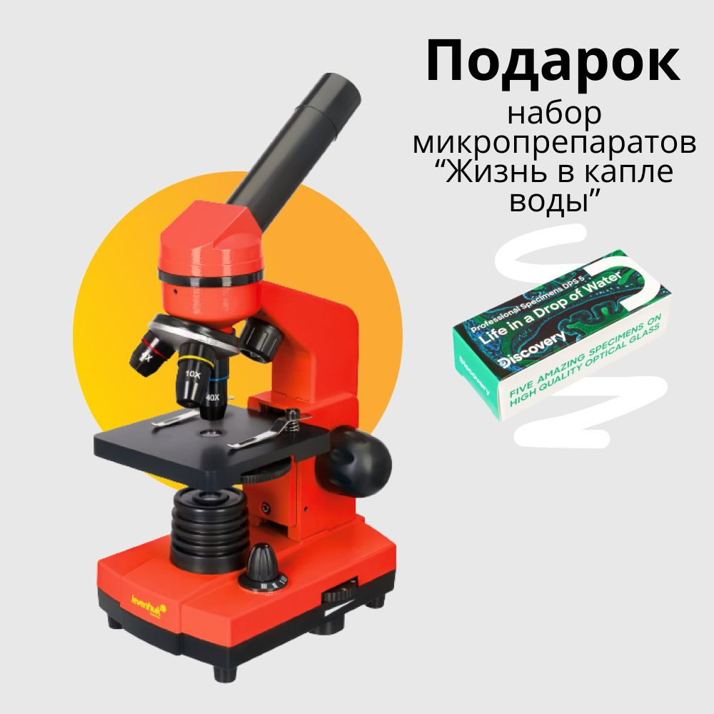 Микроскоп Levenhuk Rainbow 2L Orange Апельсин #1