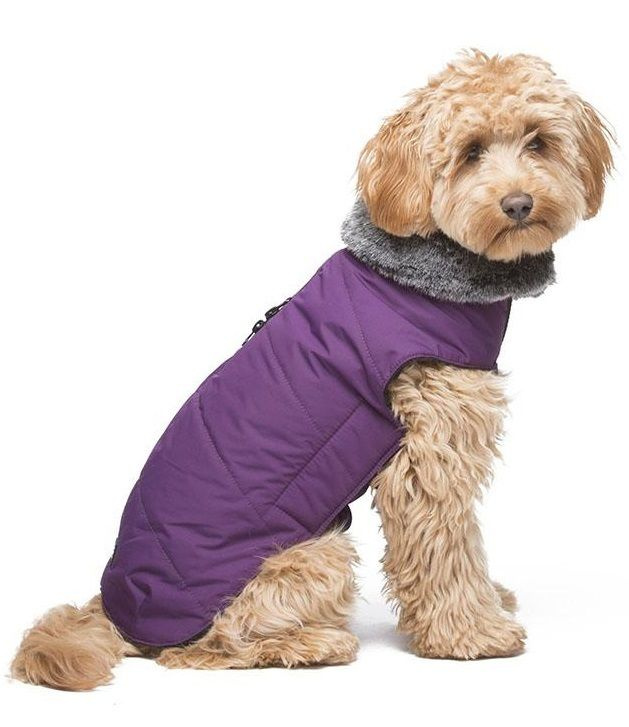 Dog gone best sale smart tamarack coat