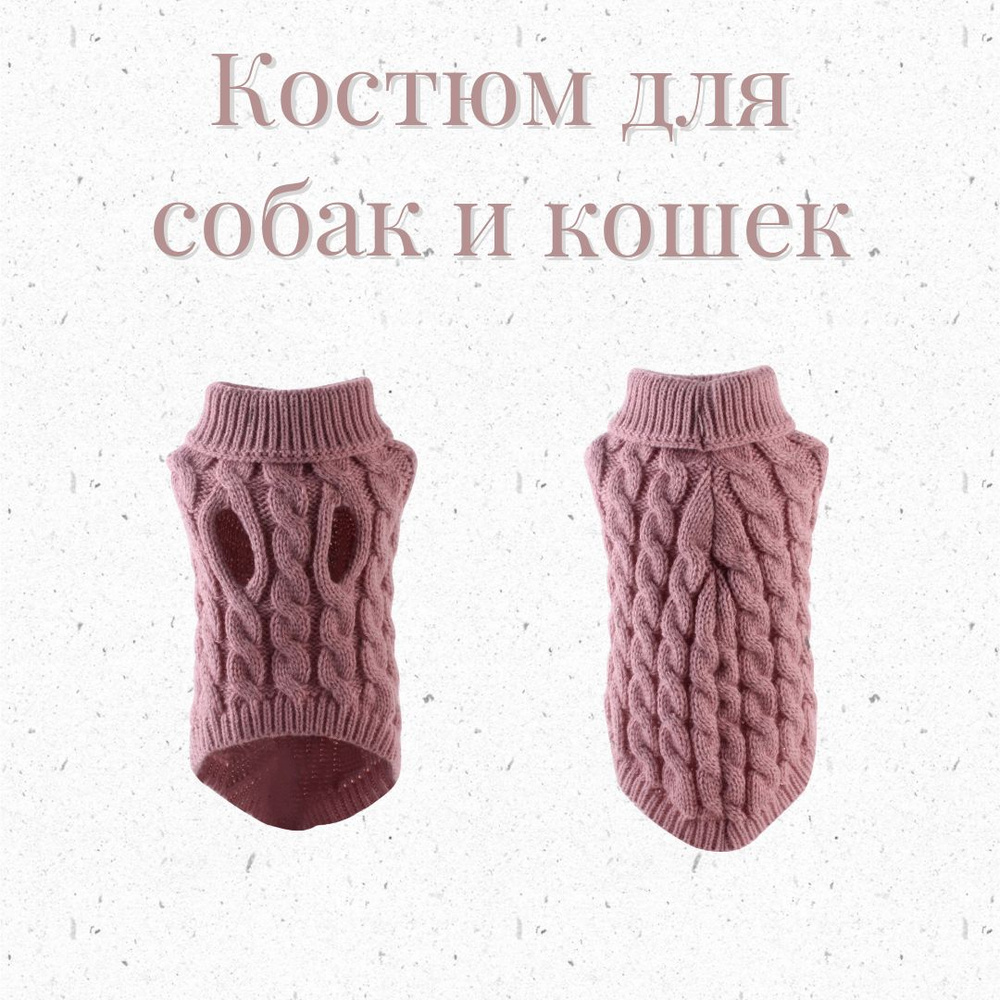 Одежда для кошки | Пикабу