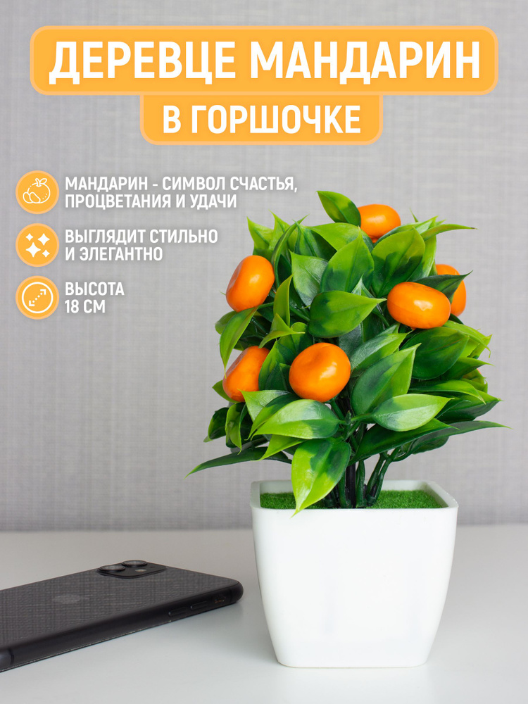 Мандарин на белом фоне. Цитрус мандарин mandarine. Мандарин етиштириш. Дерево мандаринчик из камень маленькая. Мандарин 18.