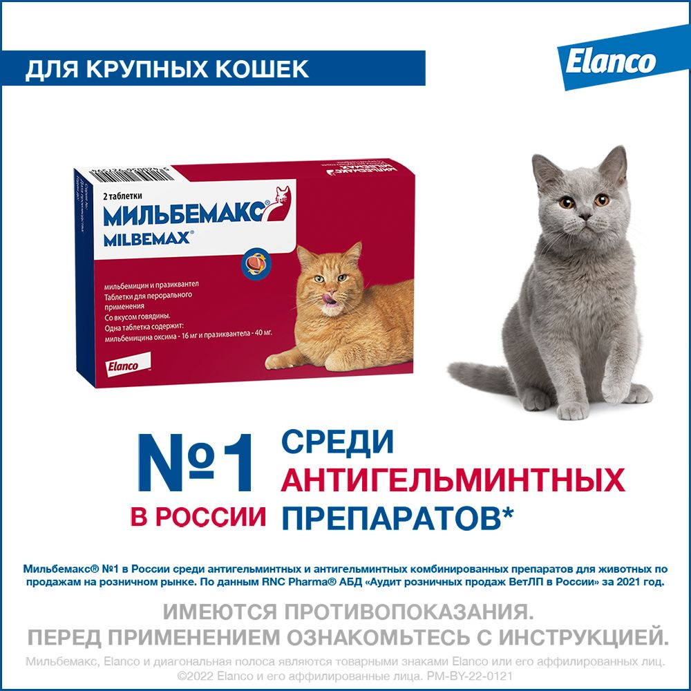 Мильбемакс таблетки от гельминтов для кошек (2 таблетки) - купить с  доставкой по выгодным ценам в интернет-магазине OZON (656268537)