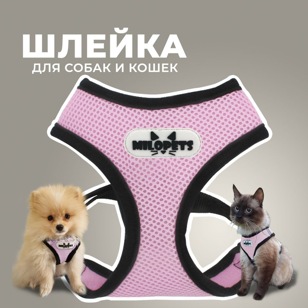 Шлейка для собак и кошек анатомическая MiloPets, с поводком 120 см, обхват  груди S 26-32 см, цвет розовый - купить с доставкой по выгодным ценам в  интернет-магазине OZON (589283220)