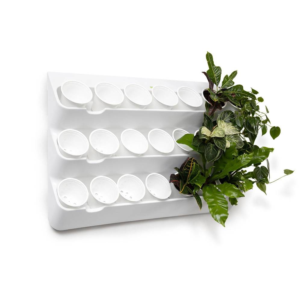 Фитомодуль "BOXSAND 21" (100х65 см) вместимость 21 растение в комплекте с белыми горшками 1 л. Цвет белый #1