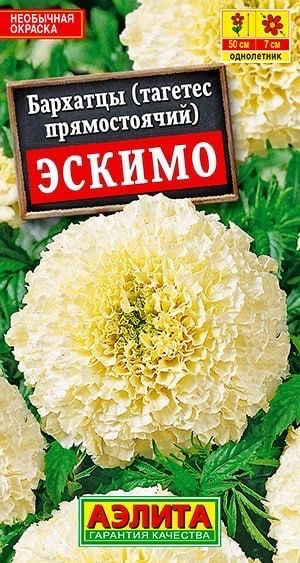 БАРХАТЦЫ ЭСКИМО ПРЯМОСТОЯЧИЕ. Семена. Вес 0,05 грамма. Сорт с необычной окраской соцветий. Кусты прочные, #1