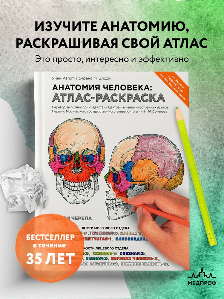 Раскраски кости: раскрасок - скачать или распечатать бесплатно