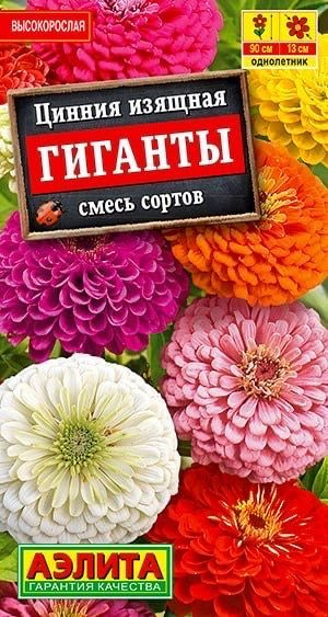 ЦИННИЯ ГИГАНТЫ. Семена. Вес 0,5 гр. Плотные георгиновидные соцветия диаметром до 13 см.  #1