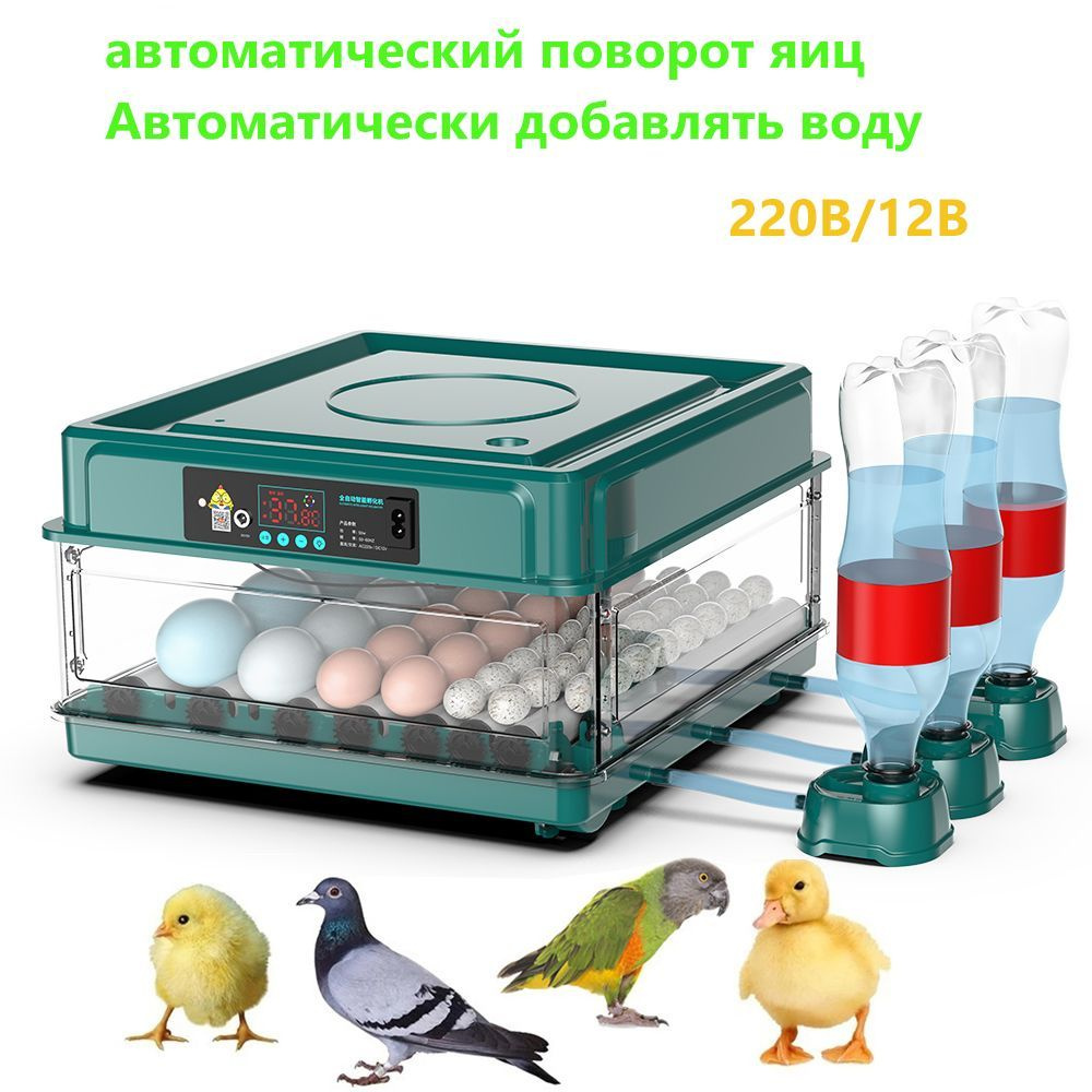 45 инкубатор для яиц автоматический 220V/12V - купить с доставкой по  выгодным ценам в интернет-магазине OZON (1323892935)