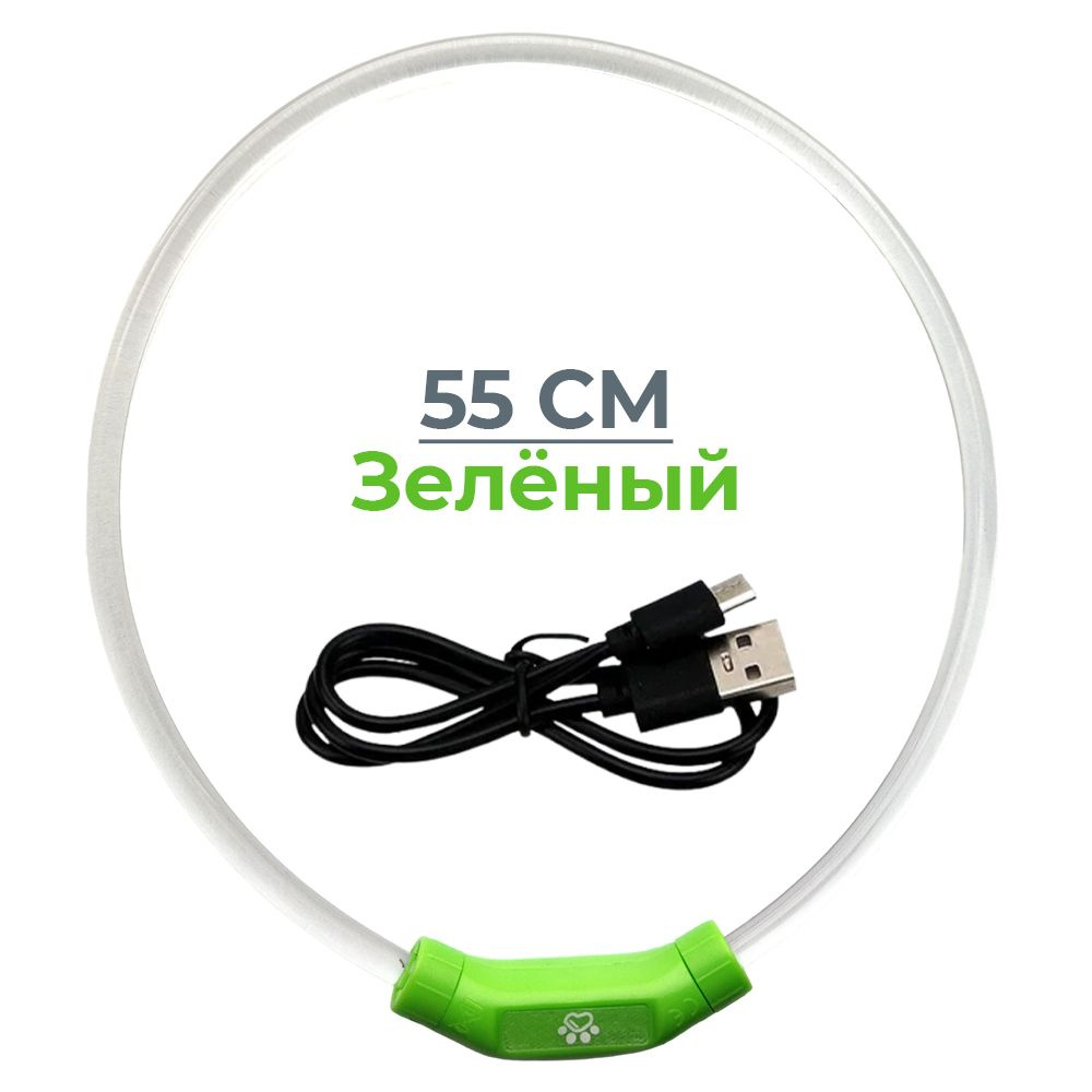 Ошейник светящийся светодиодный для собак с USB зарядкой 55 см, прозрачный с зеленым / 3 режима свечения #1