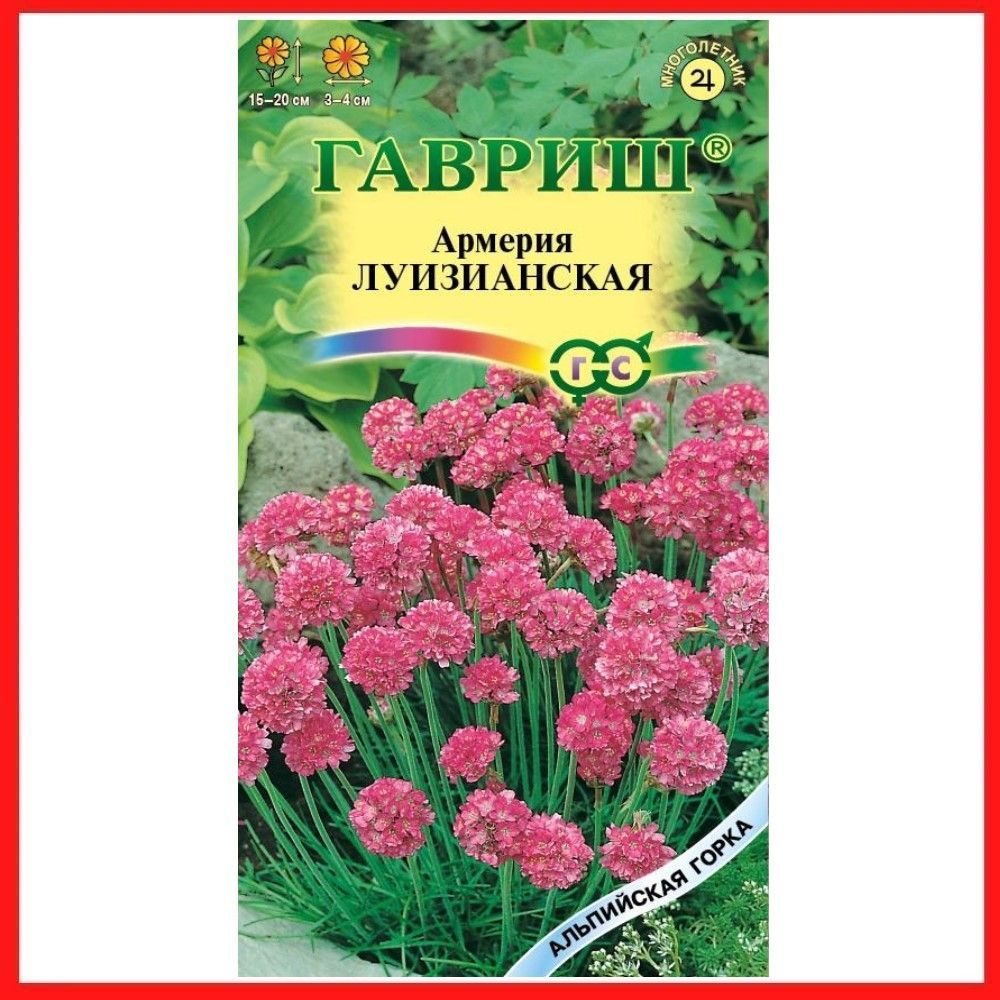 Семена цветов многолетних Армерия "Луизианская" 0,02 гр, для дома, дачи, сада и огорода, клумбы, в открытый #1