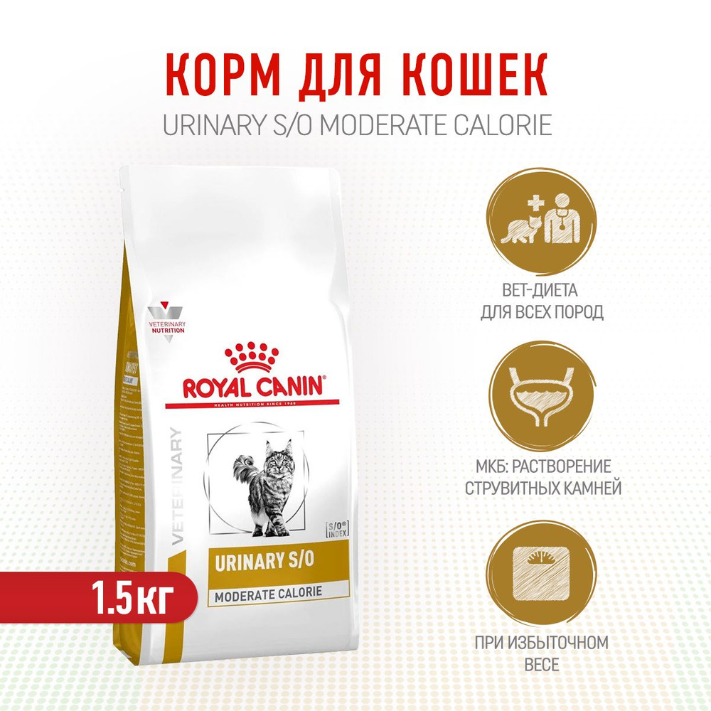 Royal Canin Urinary S/O Moderate Calorie сухой диетический корм для  взрослых кошек при МКБ и ожирении - 1,5 кг - купить с доставкой по выгодным  ценам в интернет-магазине OZON (668491590)