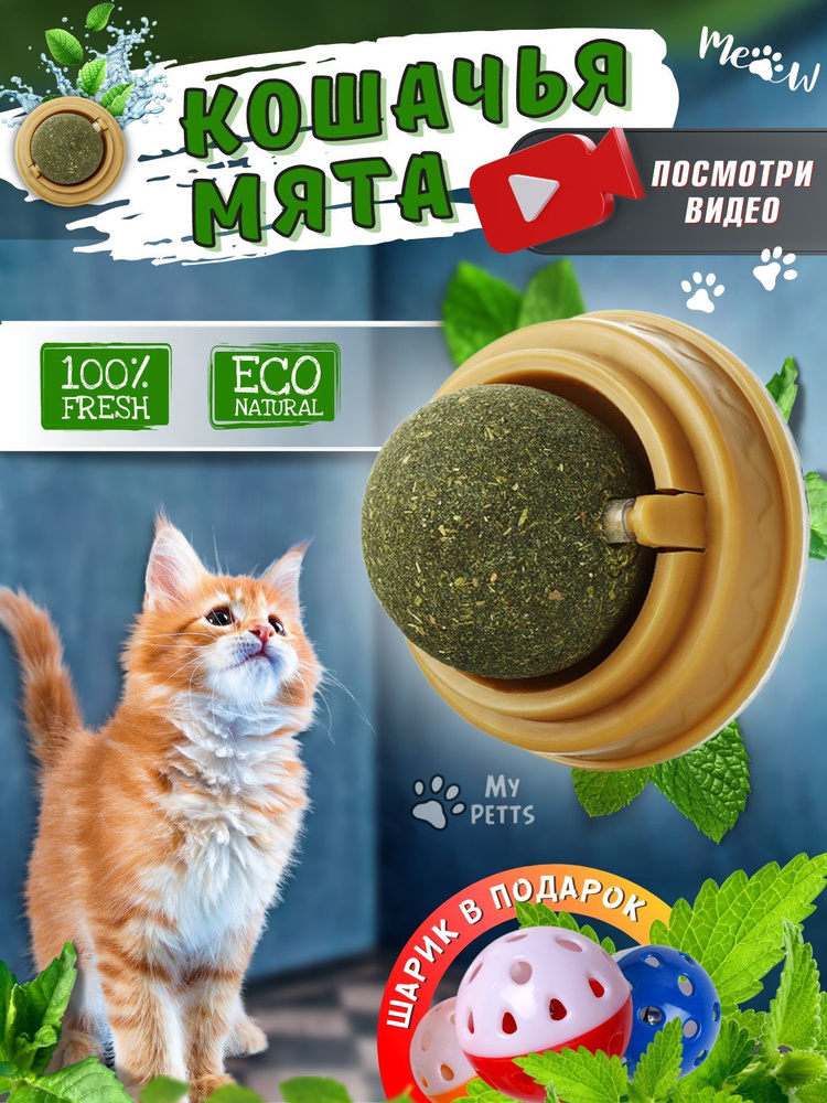 Съедобная игрушка для кошек кошачья мята шарик леденец - купить с доставкой  по выгодным ценам в интернет-магазине OZON (1068590616)