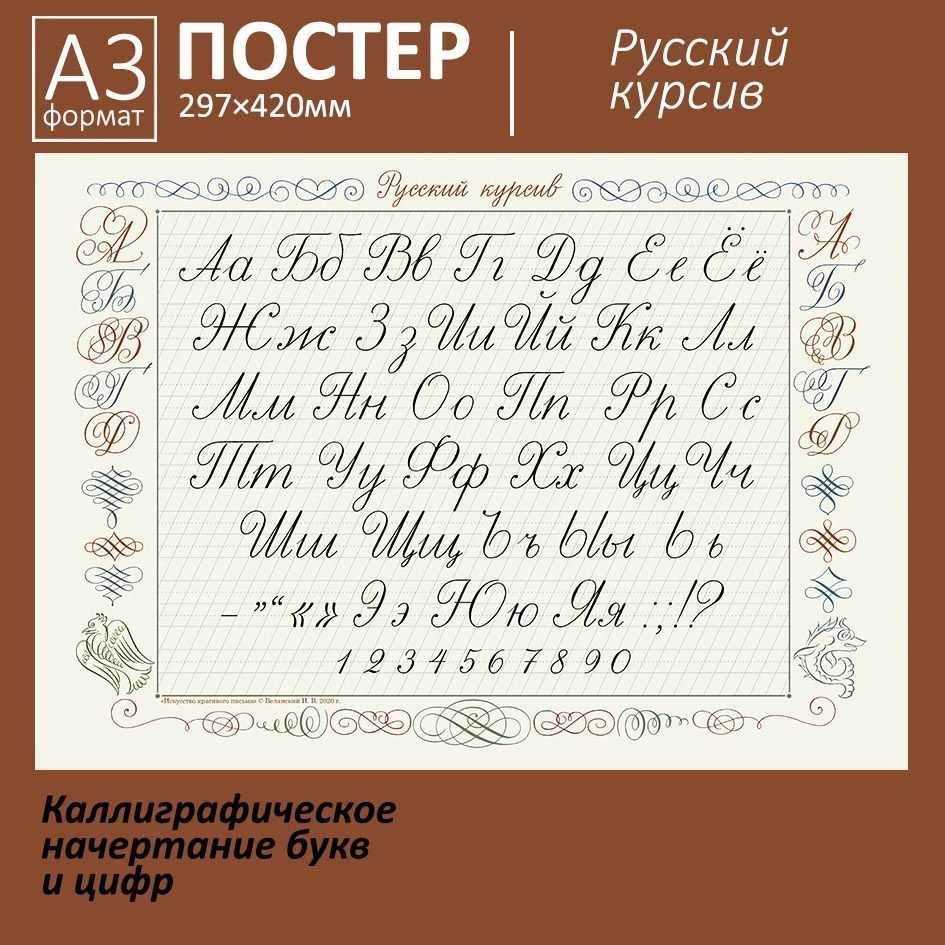 Каллиграфический алфавит. Азбука русского курсива. Все буквы и цифры  Плакат/постер (А3) - купить с доставкой по выгодным ценам в  интернет-магазине OZON (835119007)