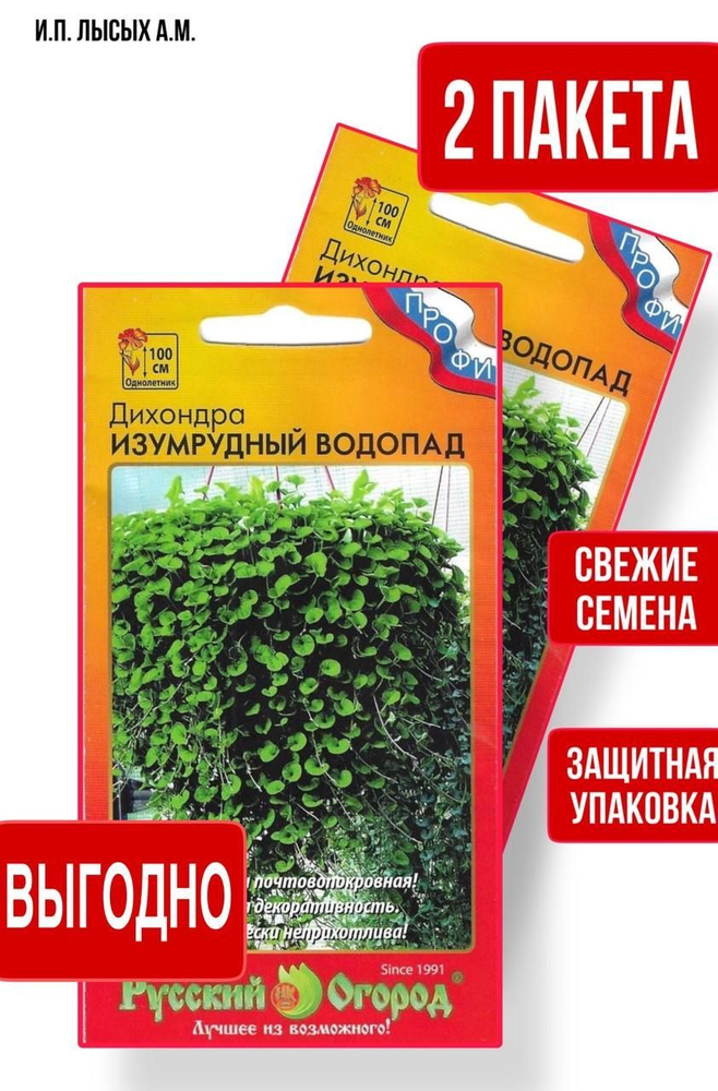 Русский огород Цветы Дихондра Изумрудный водопад_2 - купить по выгодным ...