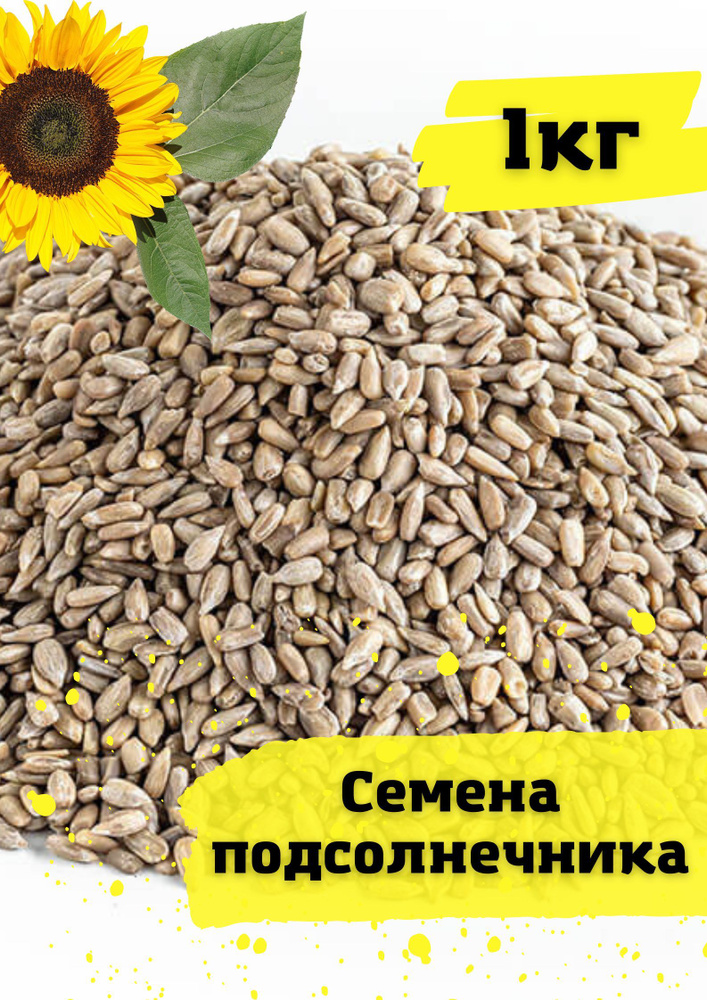 Семена подсолнечника очищенные 1кг - купить с доставкой по выгодным ...