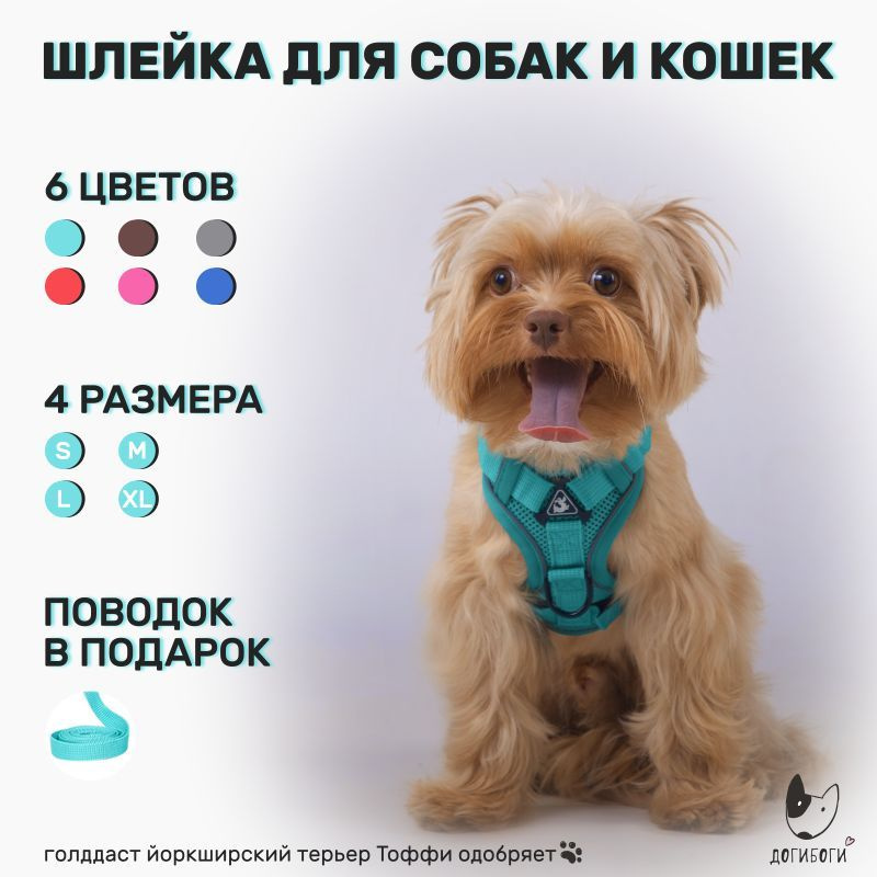 Йоркширский терьер (микро, мини, стандарт) 🐕: купить щенка йорка в Москве, цена, фото