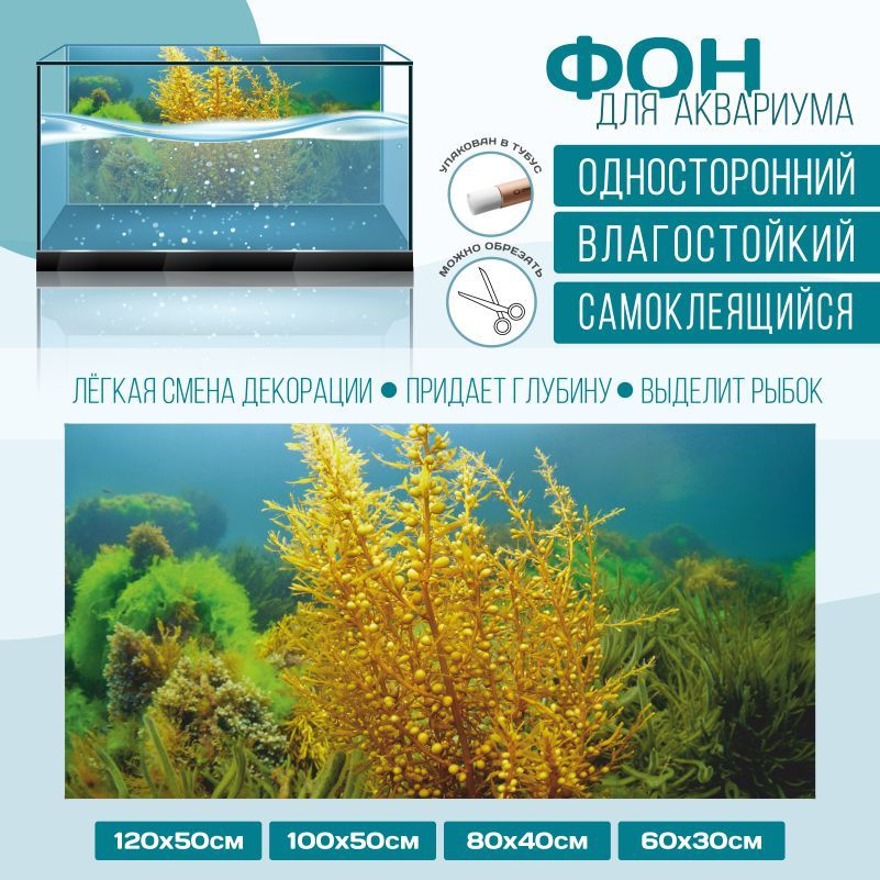 Фон для аквариума ПолиЦентр мир под водой тип 38 односторонний 1000х500 мм #1