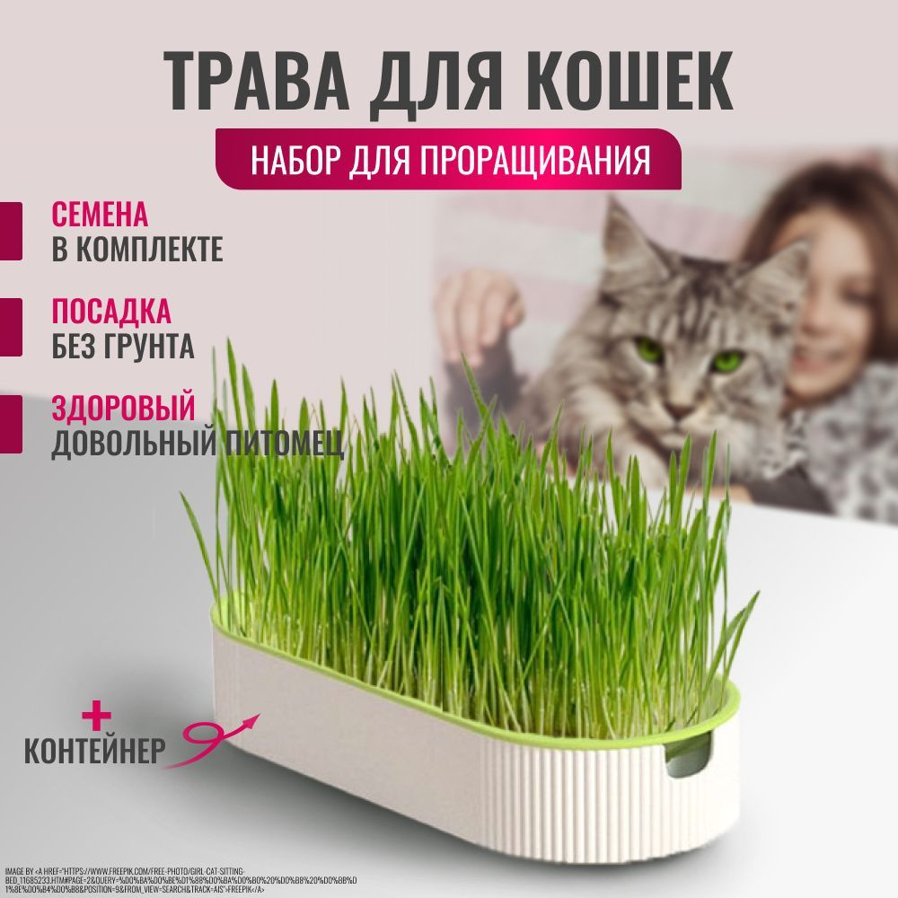 Миска для кошек с семенами травы / Набор для выращивания травы с миской / Лоток для выращивания микрозелени #1
