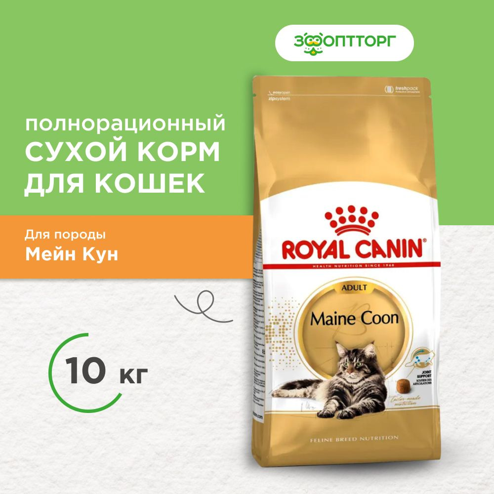 Maine coon royal store canin