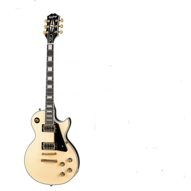 Изготовленная на заказ электрогитара Epiphone Les Paul - купить с ...
