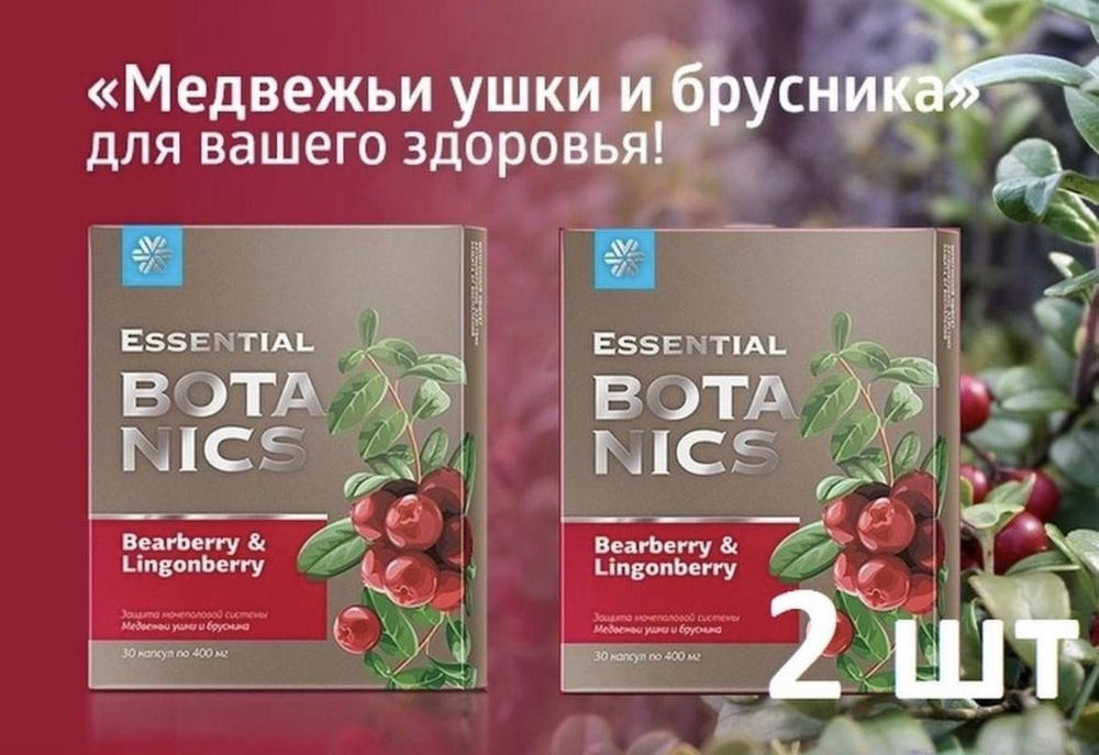 БАД при урологических нарушениях Растительный комплекс Медвежьи ушки и ...